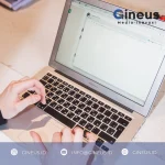 SEO 2026: Strategi Entity-Based yang Membuat Website Anda Mendominasi Hasil Pencarian Google